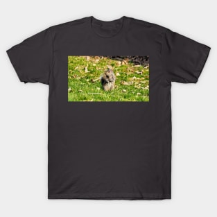 A Squirrel Crossing Its Arms T-Shirt